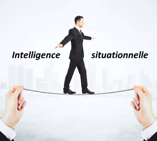 Intelligence-situationnelle