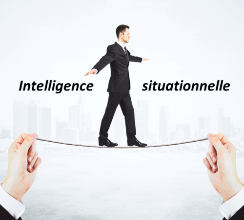 Intelligence-situationnelle Intelligence-situationnelle